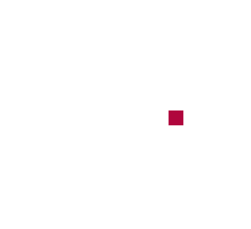 BMZ-Service-frei_PL